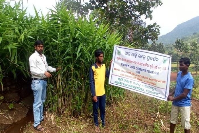 Krishi Vigyan Kendra, Koraput