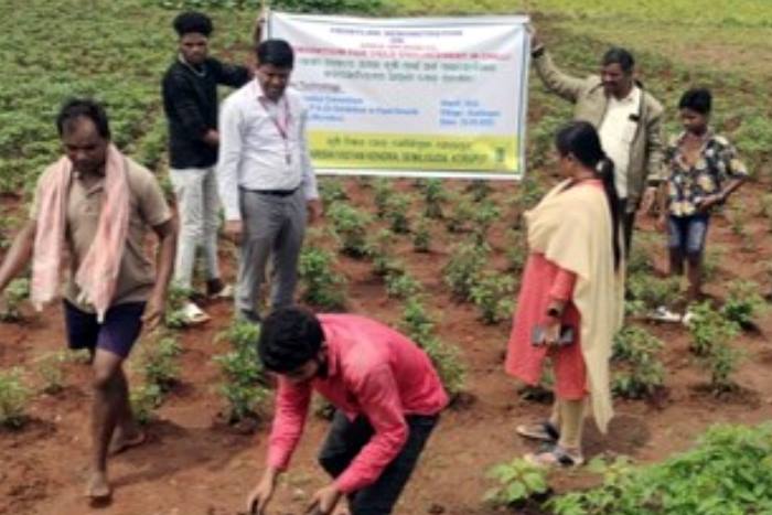 Krishi Vigyan Kendra, Koraput