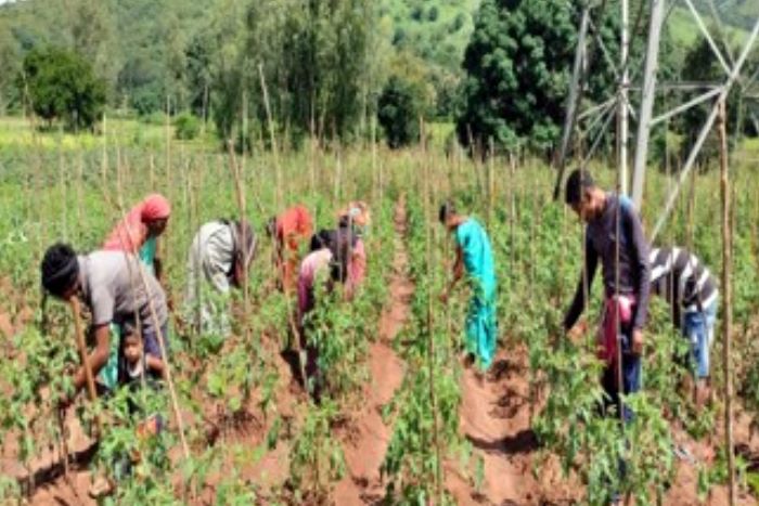 Krishi Vigyan Kendra, Koraput