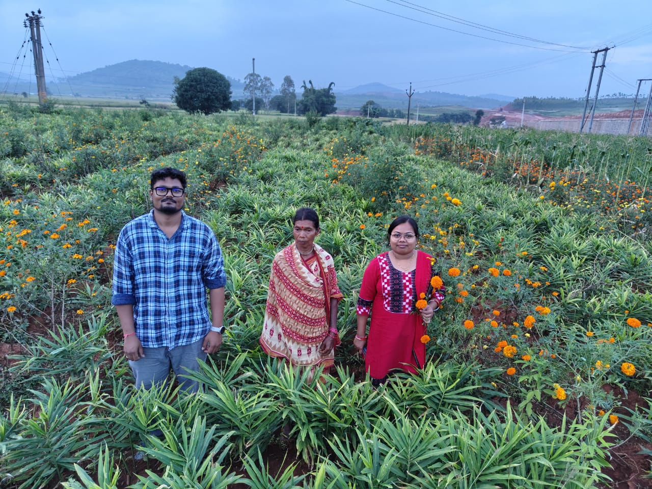 Krishi Vigyan Kendra, Koraput