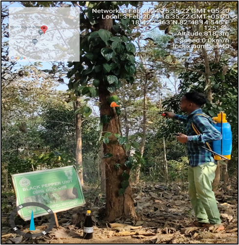 Krishi Vigyan Kendra, Koraput