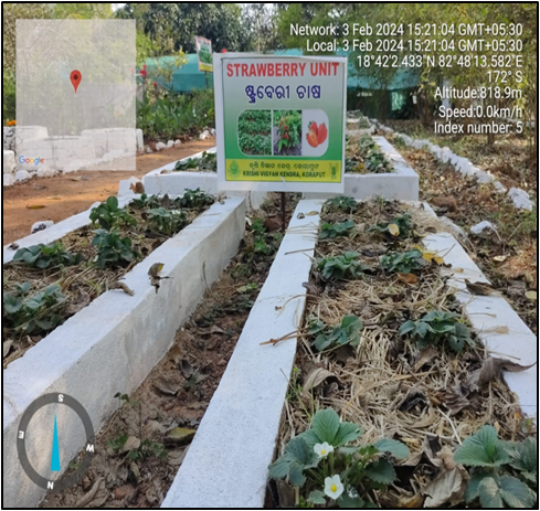 Krishi Vigyan Kendra, Koraput