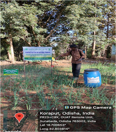 Krishi Vigyan Kendra, Koraput